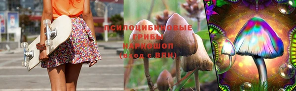 гидропоника Ельня