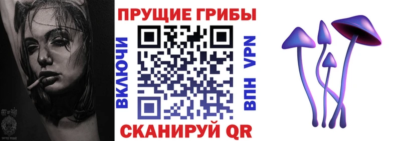 Галлюциногенные грибы Psilocybine cubensis  Купить закладки  Харовск 