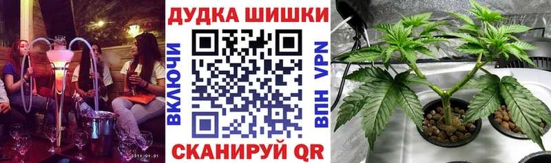 Бошки марихуана план Харовск